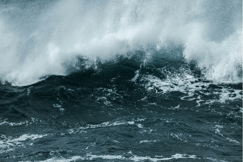 Earthquake and Tsunami