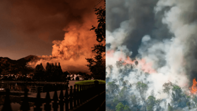 environmental disasters of 2025
