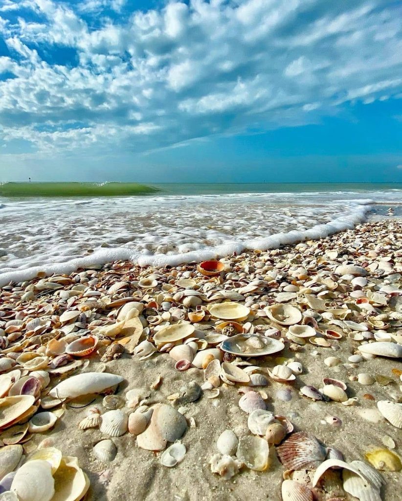 shell island beach