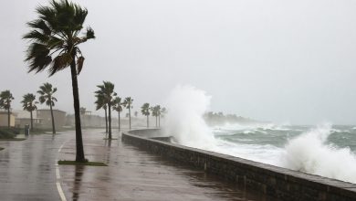 Devastating Typhoons