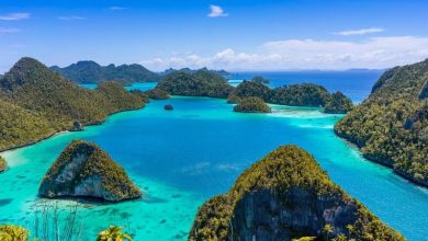 raja ampat's reefs