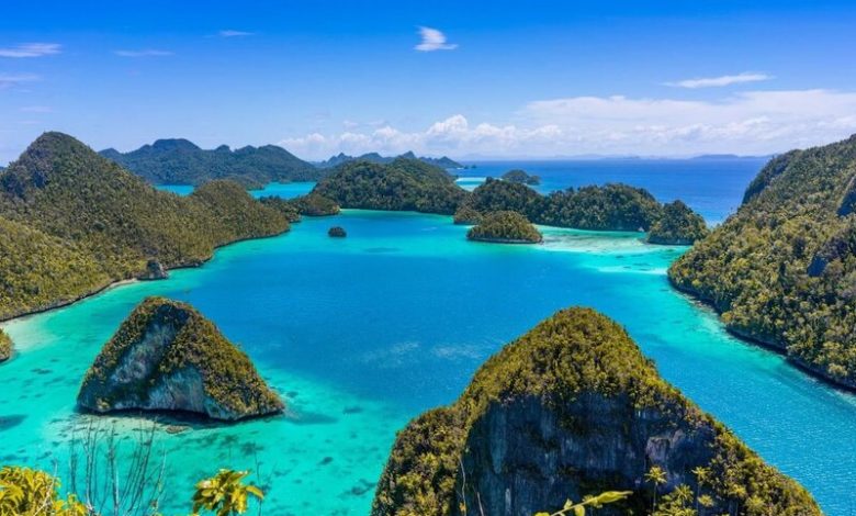 raja ampat's reefs