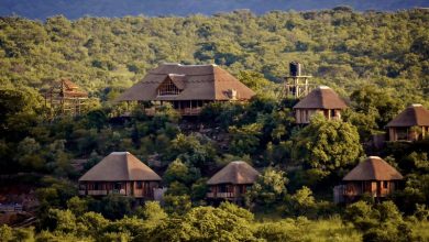 safari lodges