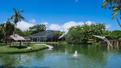 eco resorts in bangladesh