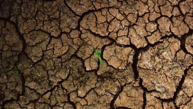 cities struggling with severe global drought