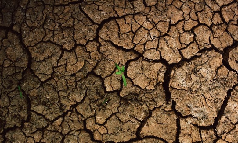 cities struggling with severe global drought