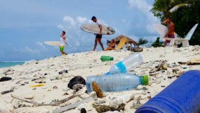 countries leading zero waste initiatives