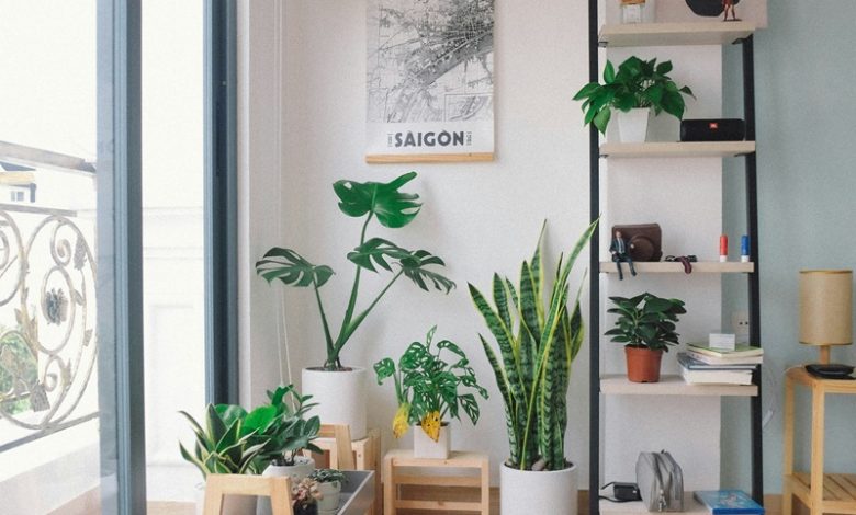 easy guide for small spaces