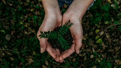 eco friendly habits 2025