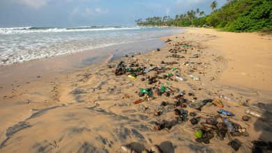 most plastic polluted beaches