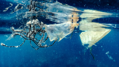ocean plastic waste