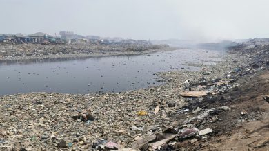 Polluted Rivers in the World