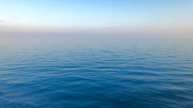 rising sea levels 2050