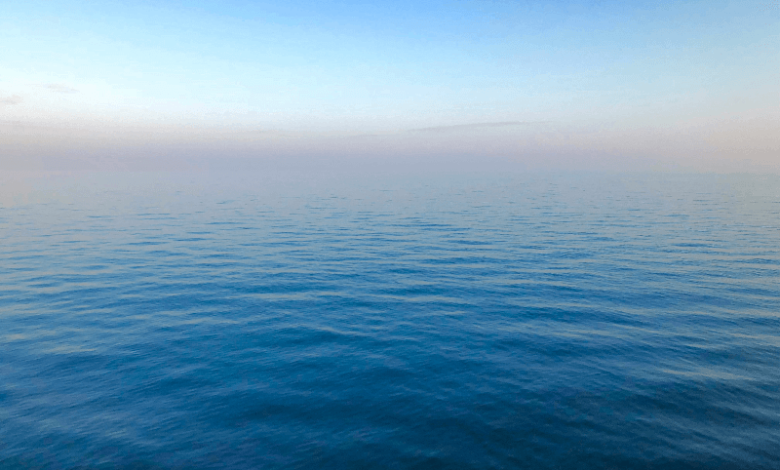 rising sea levels 2050