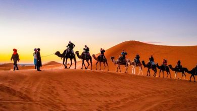 sahara desert camping