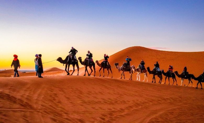 sahara desert camping