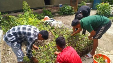 teaching kids sustainability