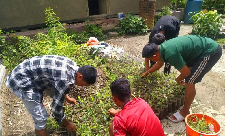 teaching kids sustainability