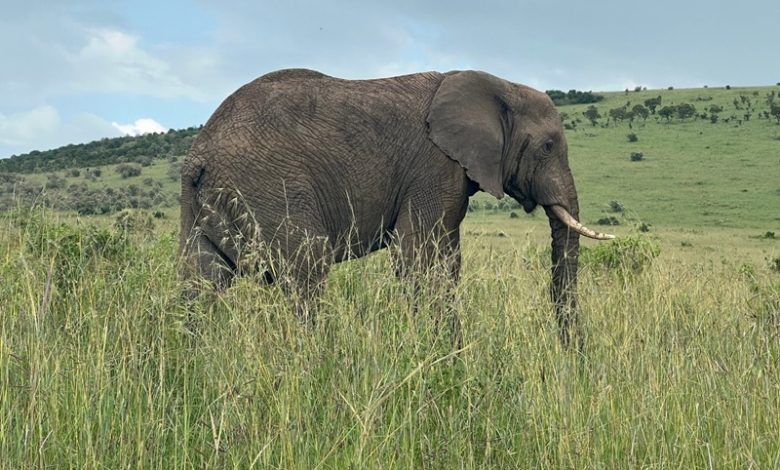 richest biodiversity countries