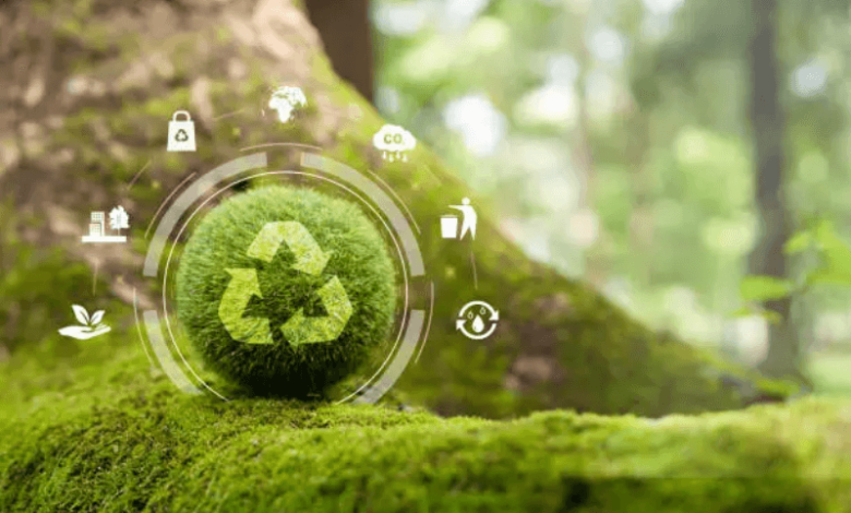 best reusable products to buy