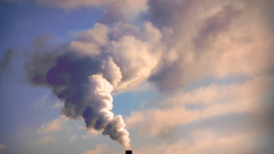 cop30 energy fallout