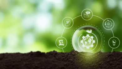 climate adaptation vs mitigation