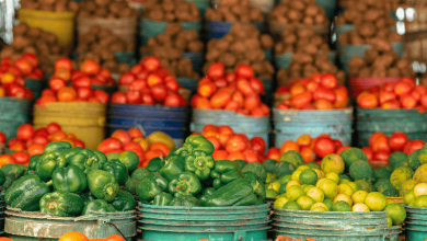 climate change and food prices