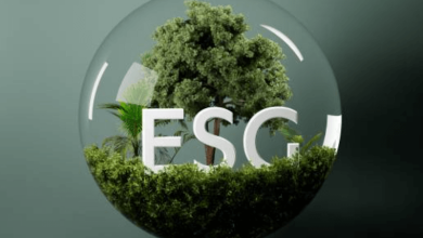 esg basics 2025 business risk controls sustainability guide