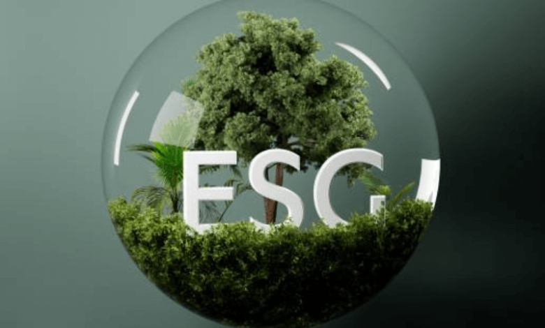 esg basics 2025 business risk controls sustainability guide