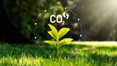 easy ways to reduce carbon footprint
