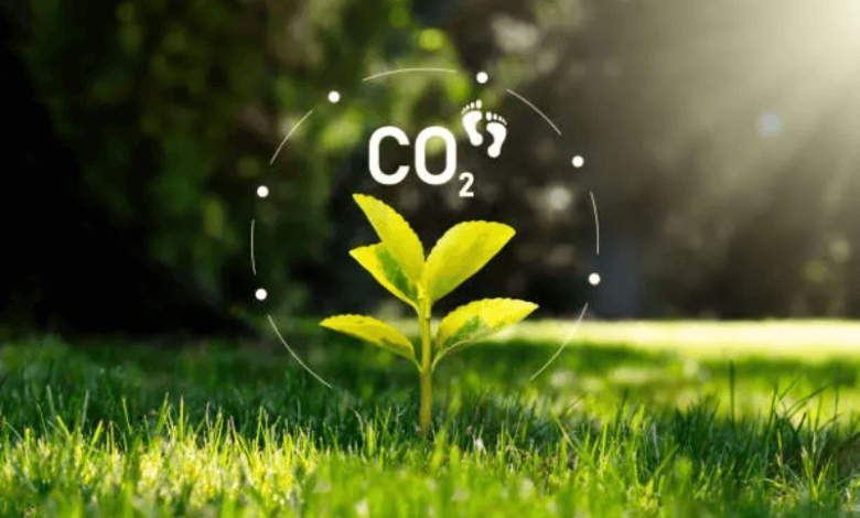 easy ways to reduce carbon footprint