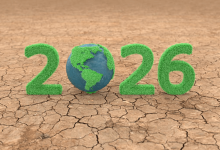 eco friendly new year ideas