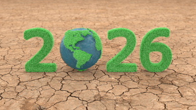 eco friendly new year ideas