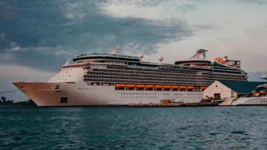 environmental impact of cruise ships