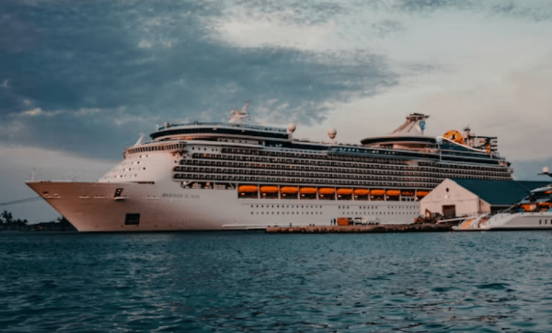 environmental impact of cruise ships