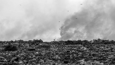 landfill methane emissions