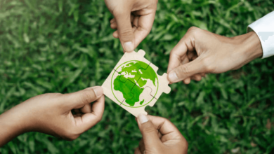 minimalist green living