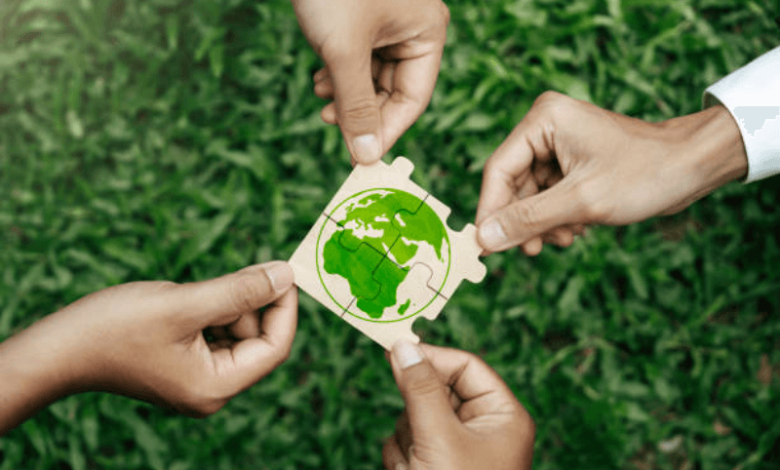 minimalist green living