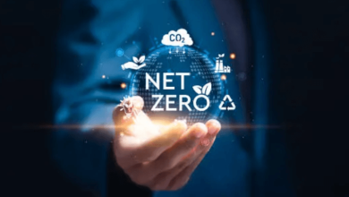 net zero meaning
