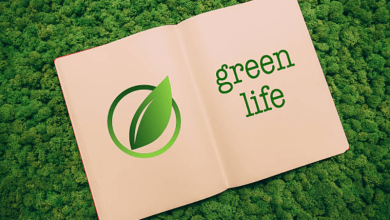sustainability challenges for a greener lifestyle