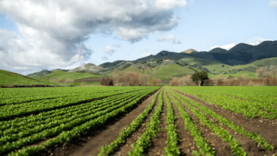 sustainable farming study