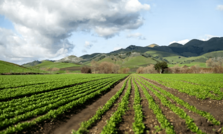 sustainable farming study