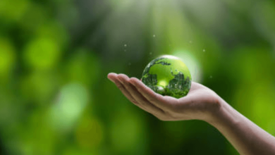 top green startups transforming