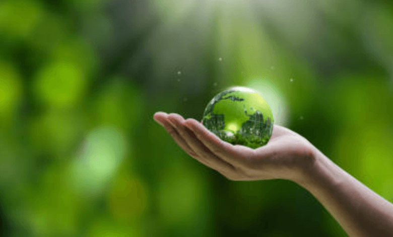 top green startups transforming