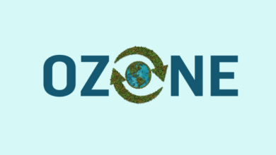 2025 ozone hole update