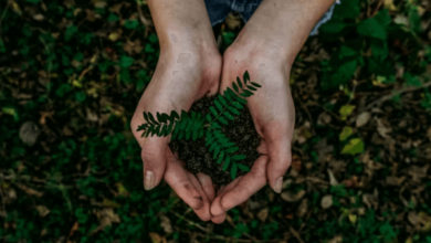 Digital Minimalism Environment Digital Minimalism Environment