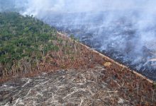 Extreme Wildfires 2025