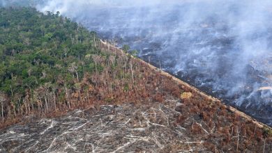 Extreme Wildfires 2025