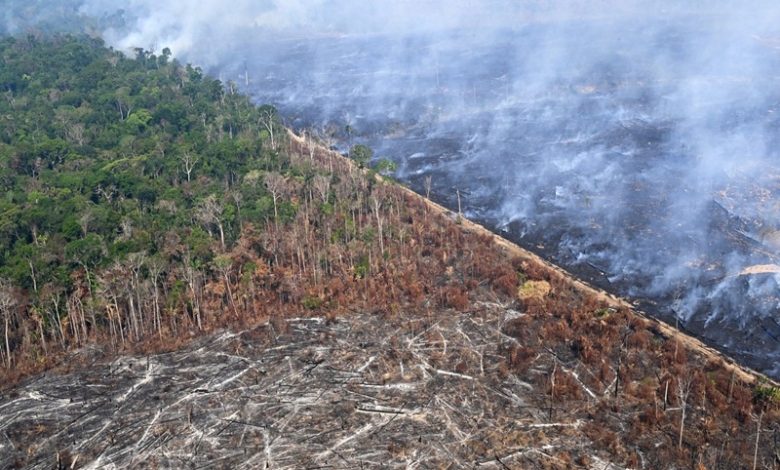 Extreme Wildfires 2025