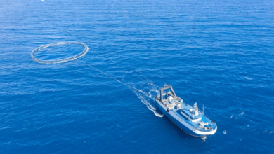 marine project update